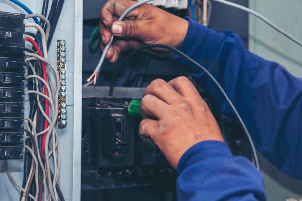 Best Ceiling Fan Installation Electrician  in Fruitvale, CO