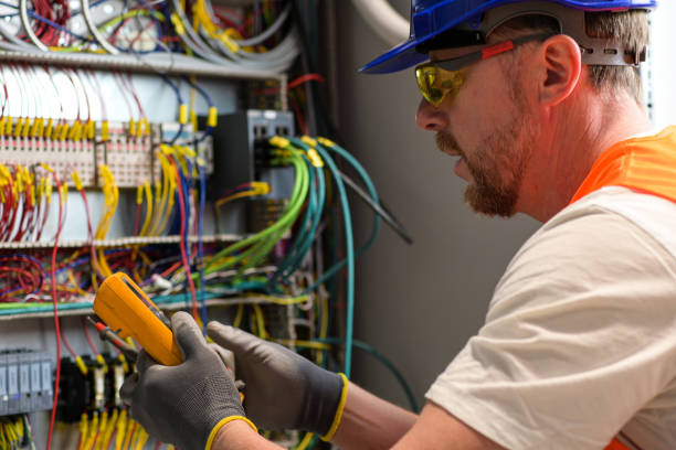 Best Electric Panel Repair  in Fruitvale, CO