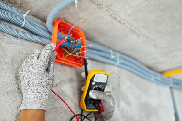 Best Commercial Electrician Services  in Fruitvale, CO